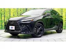 2024 Lexus NX
