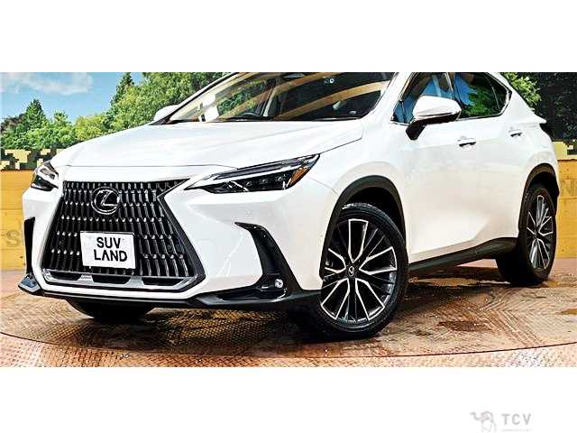 2024 Lexus NX
