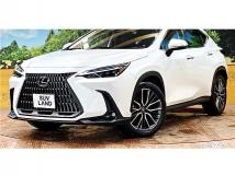 2024 Lexus NX
