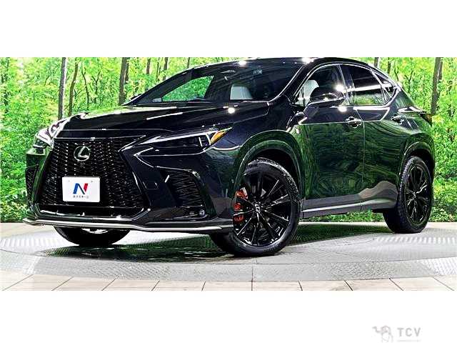 2024 Lexus NX