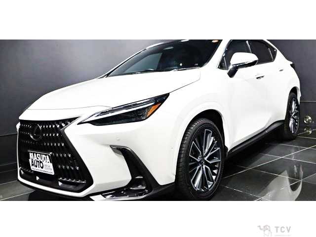 2024 Lexus NX