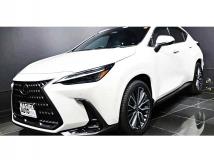 2024 Lexus NX