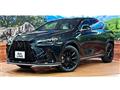 2024 Lexus NX