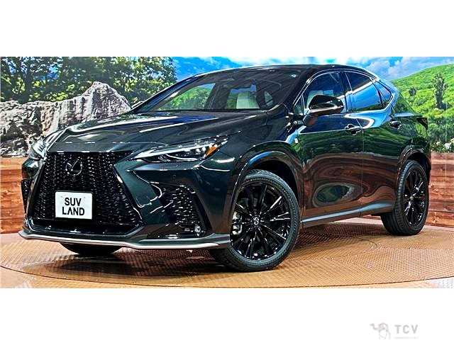 2024 Lexus NX