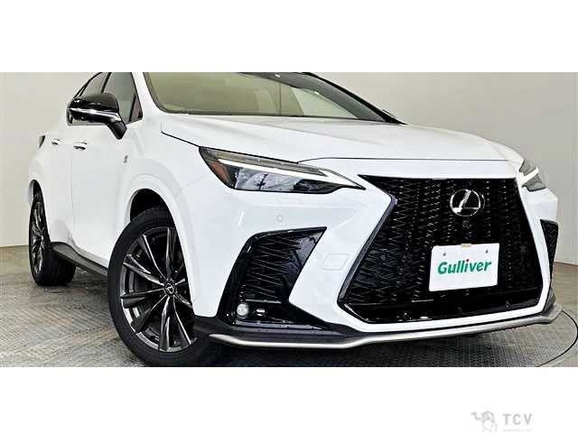 2024 Lexus NX