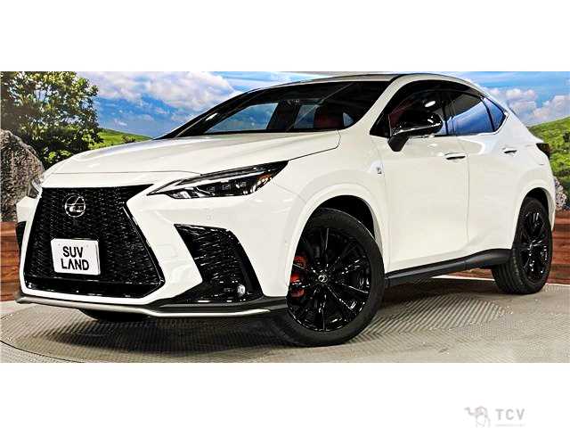 2024 Lexus NX