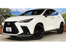 2024 Lexus NX