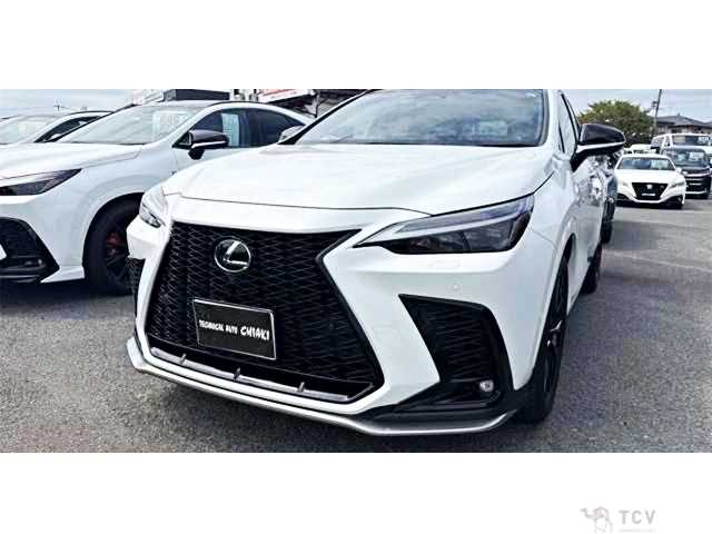 2024 Lexus NX
