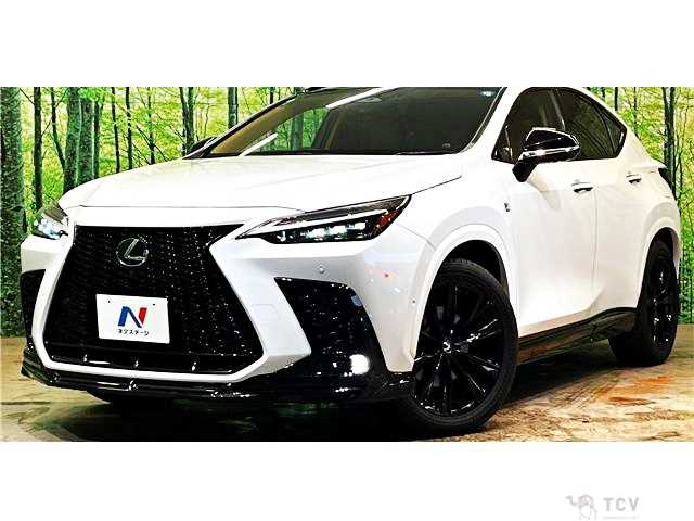 2024 Lexus NX