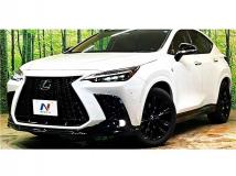 2024 Lexus NX