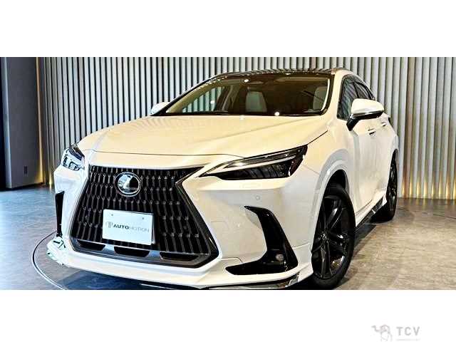 2024 Lexus NX