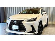 2024 Lexus NX