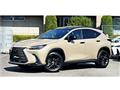 2024 Lexus NX