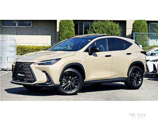 2024 Lexus NX