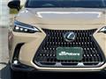 2024 Lexus NX