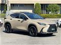 2024 Lexus NX