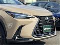 2024 Lexus NX
