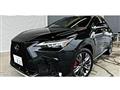 2024 Lexus NX