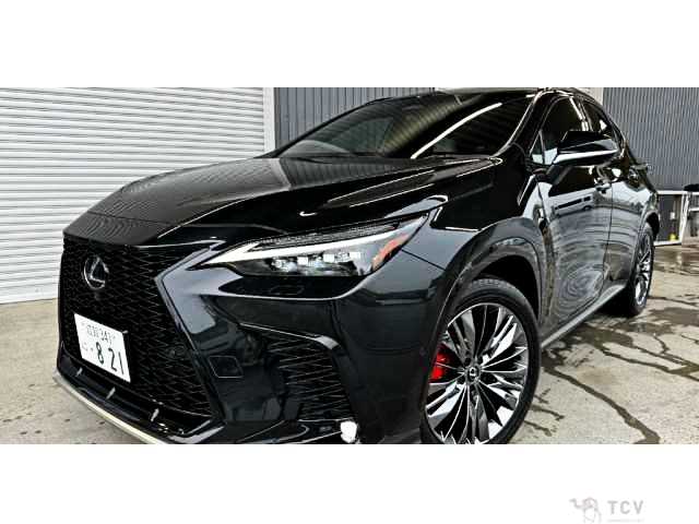 2024 Lexus NX