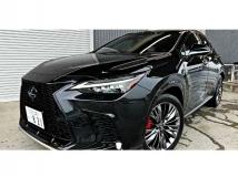 2024 Lexus NX