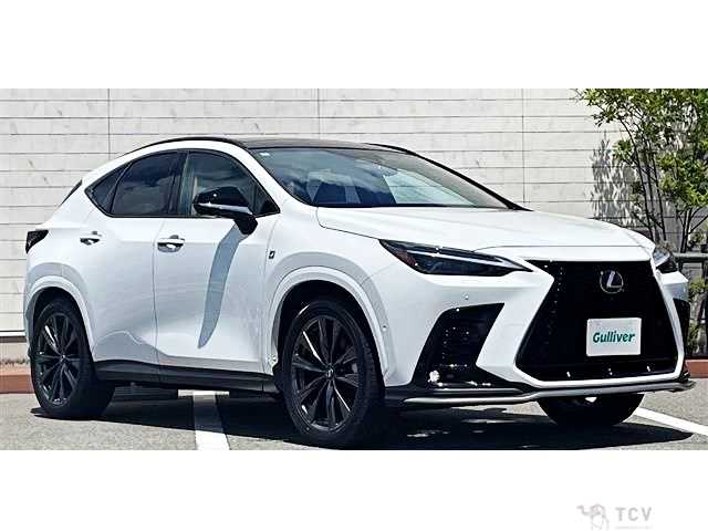 2024 Lexus NX