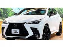 2024 Lexus NX