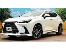 2024 Lexus NX