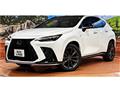 2024 Lexus NX