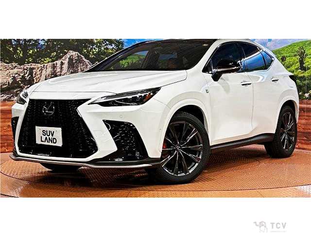 2024 Lexus NX
