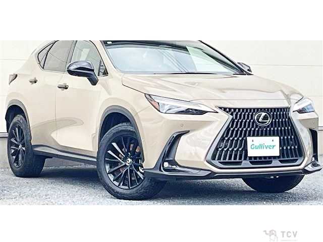 2024 Lexus NX