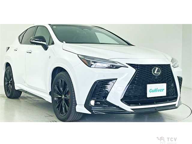 2024 Lexus NX