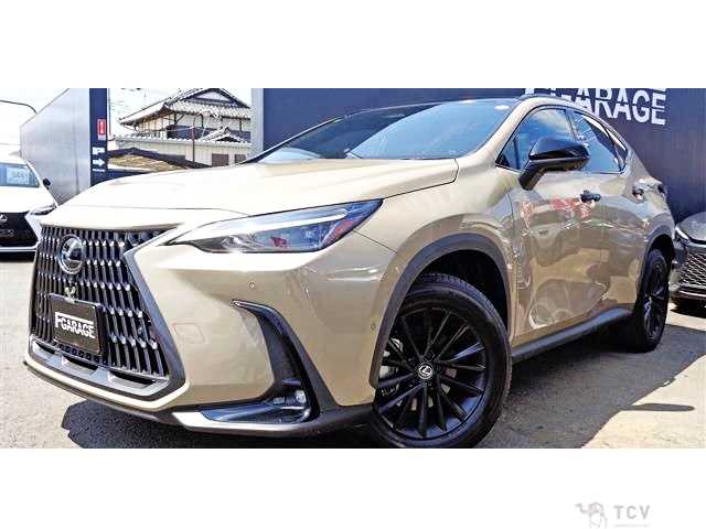 2024 Lexus NX