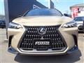 2024 Lexus NX
