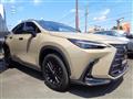 2024 Lexus NX