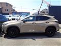 2024 Lexus NX
