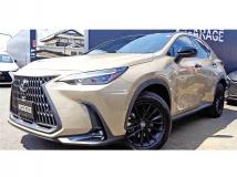 2024 Lexus NX