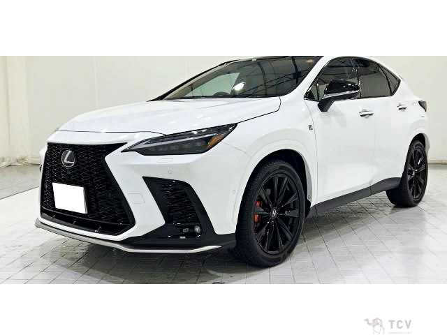 2024 Lexus NX