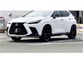 2024 Lexus NX