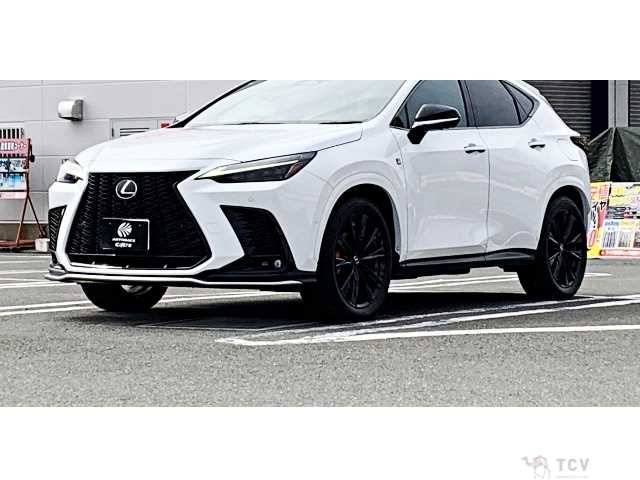 2024 Lexus NX
