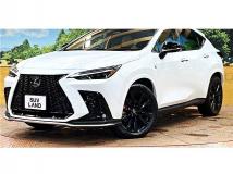 2024 Lexus NX