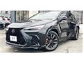 2024 Lexus NX
