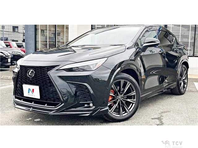 2024 Lexus NX