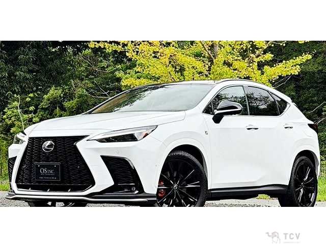 2024 Lexus NX