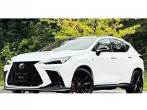 2024 Lexus NX