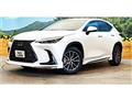 2025 Lexus NX