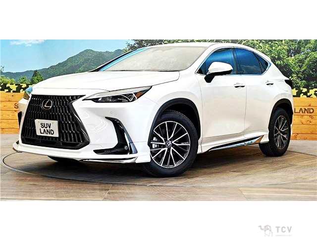 2025 Lexus NX