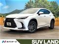 2025 Lexus NX