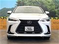 2025 Lexus NX