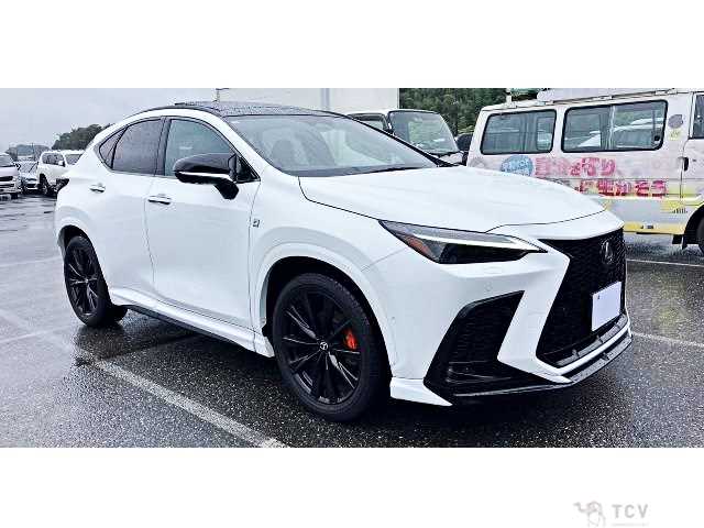 2025 Lexus NX
