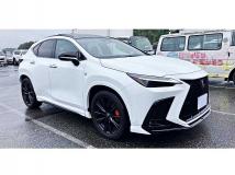 2025 Lexus NX
